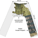 Illustration for article titled These 3,000-year-old trousers are the oldest in the world